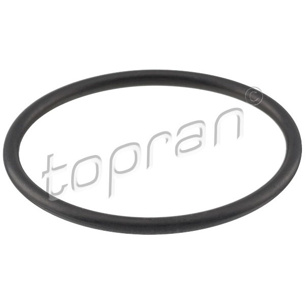 Слика на Гарнитура за термостат TOPRAN 100 618 за VW Vento Sedan (1H2) 1.4 - 55 коњи бензин