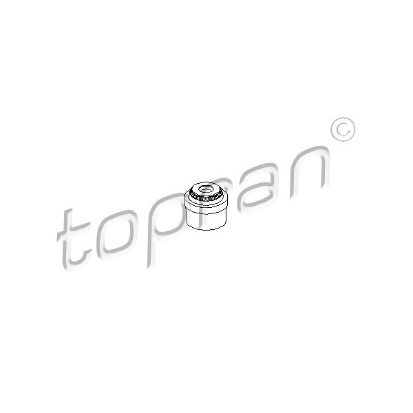 Слика на Гумичка за вентил TOPRAN 205 583 за Fiat Qubo 1.4 - 73 коњи бензин