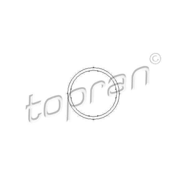 Слика на дихтунг, дихтунг на термостат TOPRAN 100 722 за Audi A2 (8Z0) 1.4 TDI - 90 коњи дизел