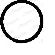 Слика 1 на дихтунг, штрафови на капак на цилиндрична глава PAYEN PB248