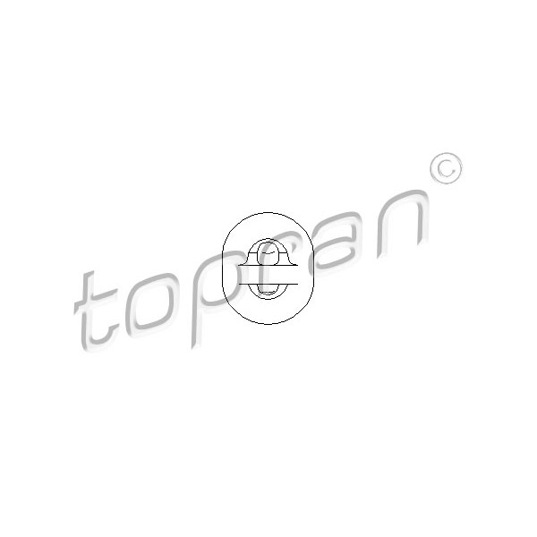 Слика на држач, лонец TOPRAN 104 403 за Mercedes SL (r129) 60  AMG (129.067) - 381 коњи бензин