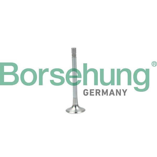 Слика на издувен вентил Borsehung B19004 за VW Crafter 30-50 box (2E) 2.0 TDI - 109 коњи дизел