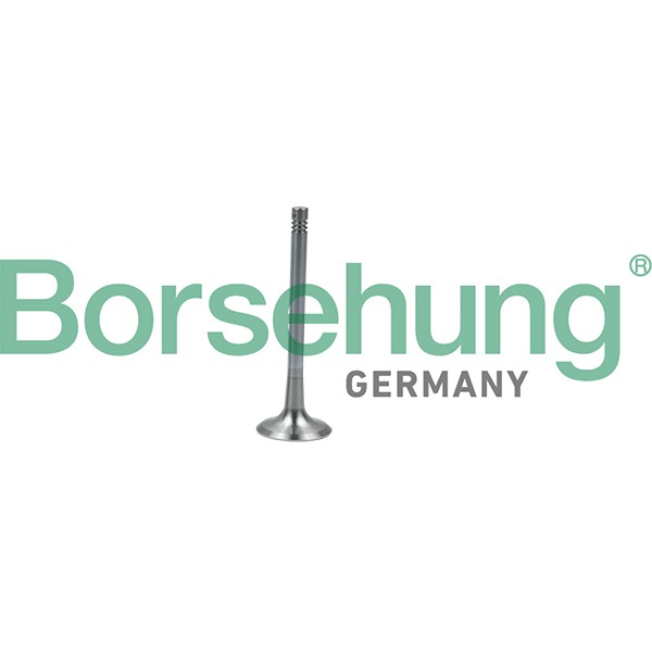 Слика на издувен вентил Borsehung B19011 за VW EOS (1F7,1F8) 2.0 TSI - 210 коњи бензин