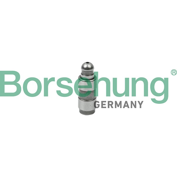 Слика на подигач на вентил Borsehung B18825 за VW EOS (1F7,1F8) 2.0 TSI - 210 коњи бензин